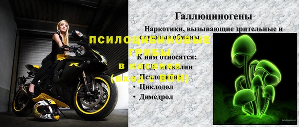 хмурый Дмитров