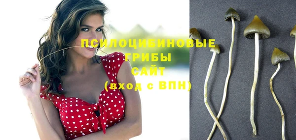 не бодяженный Белокуриха