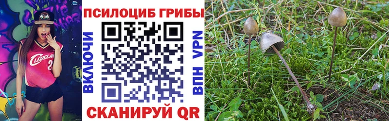 где купить   Бикин  Псилоцибиновые грибы Magic Shrooms 